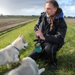 Husky Erziehung
