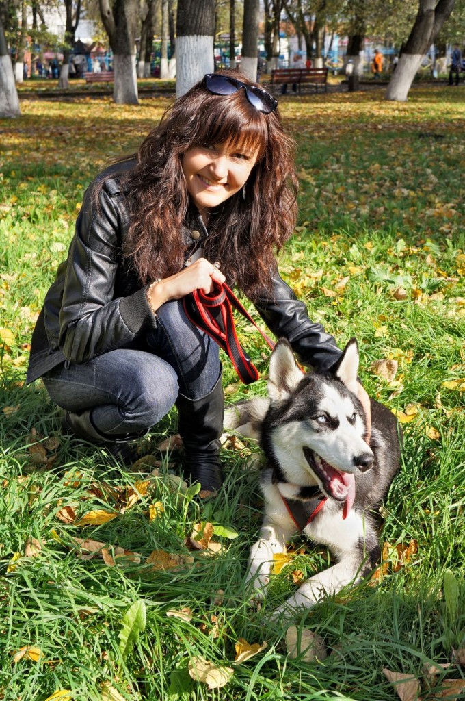 Husky Hund