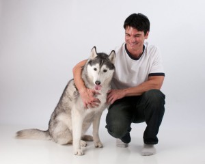 Husky kaufen