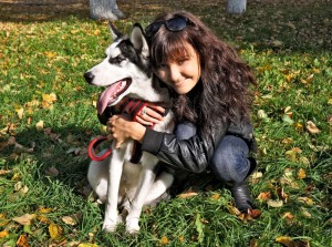 Tipps für die Husky Erziehung