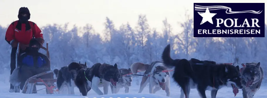 Husky Touren in der Arktis mit Polar Erlebnisreisen