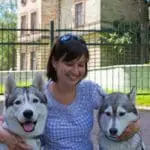 Urlaub mit Husky