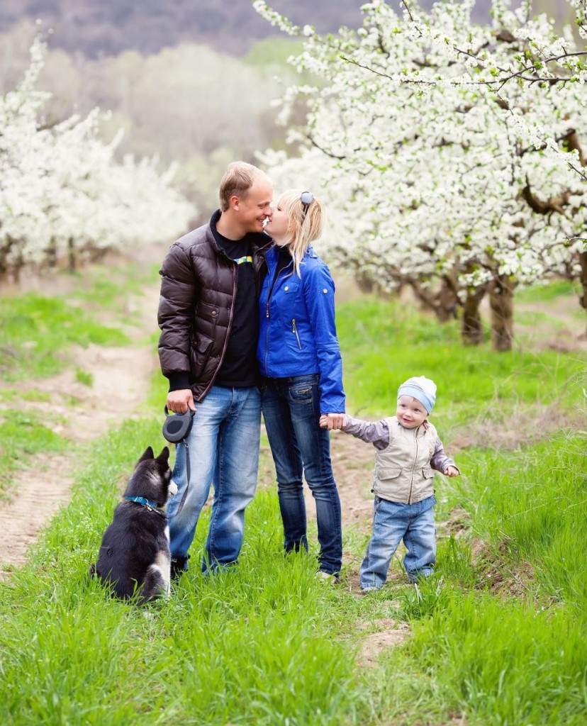 Der Husky liebt das Zusammensein mit der Familie.