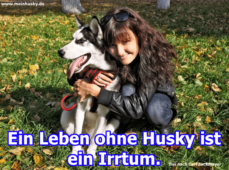 Husky Zitate und Sprüche MeinHusky.de