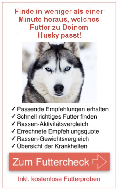 Futterproben Husky