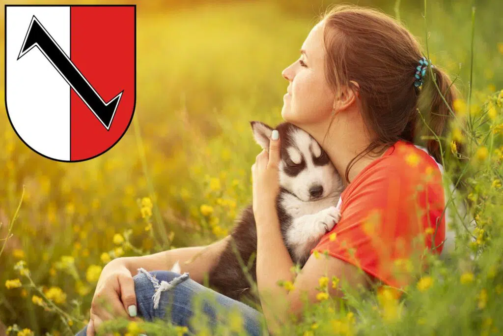 Husky Züchter mit Welpen Halberstadt, Sachsen-Anhalt