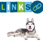 Links zu interessanten Husky und Hundeseiten
