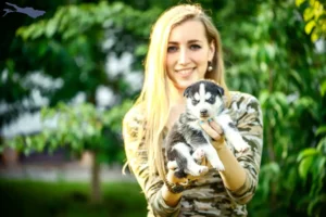 Mehr über den Artikel erfahren Husky Züchter und Welpen am Bodensee