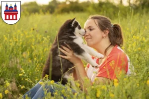 Mehr über den Artikel erfahren Husky Züchter und Welpen in Speyer