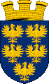 Husky Züchter und Welpen in Niederösterreich