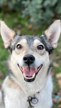 Miniaturansicht für das Anzeigenbild