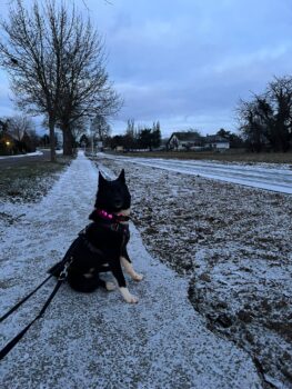 Miniaturansicht für das Anzeigenbild