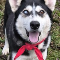 Berta sucht eine aktive Familie